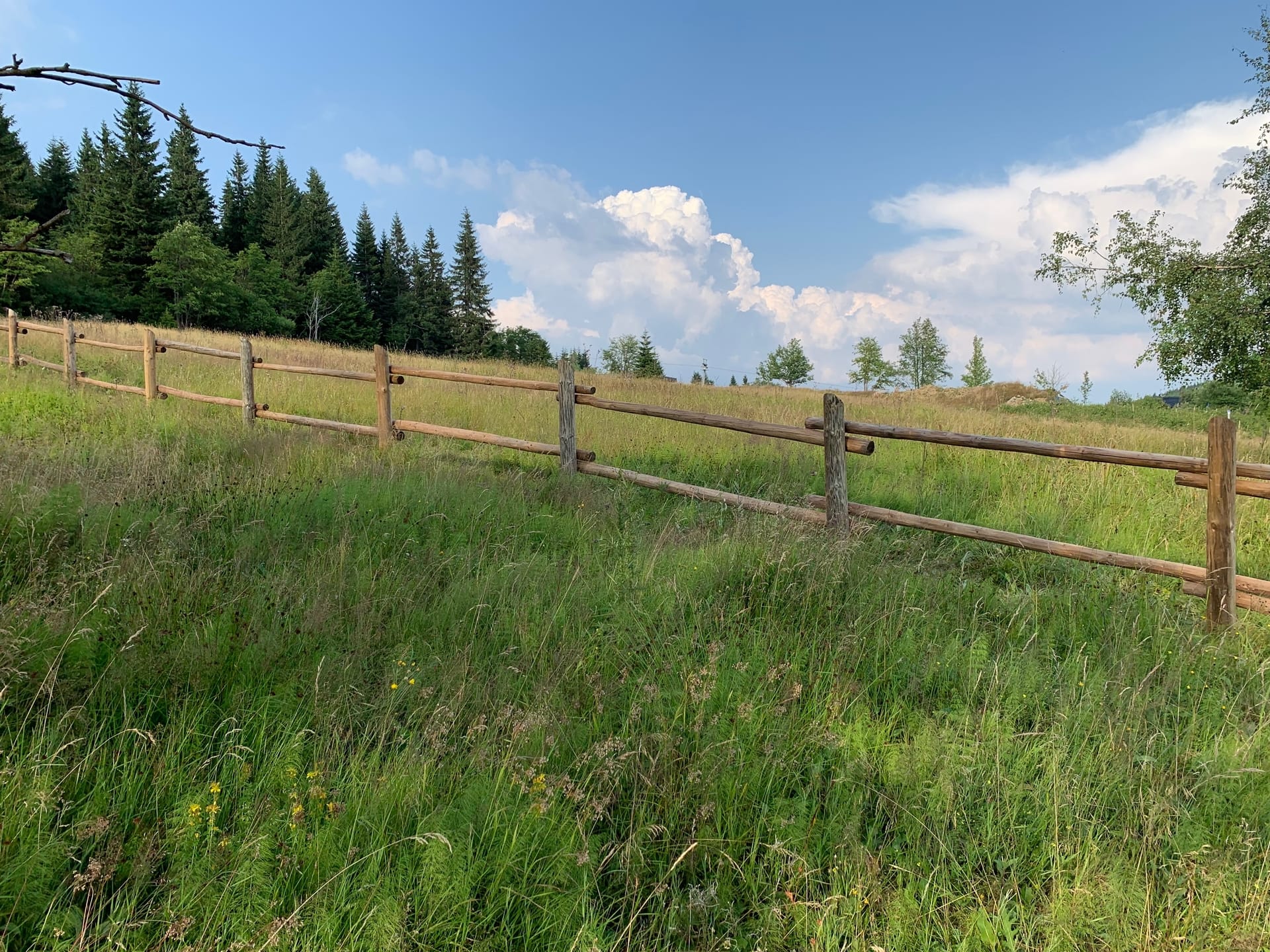 Obrázek 2 / Dřevěné ploty - ručně opracovaný   - realizace Horní Malá Úpa 7-2019