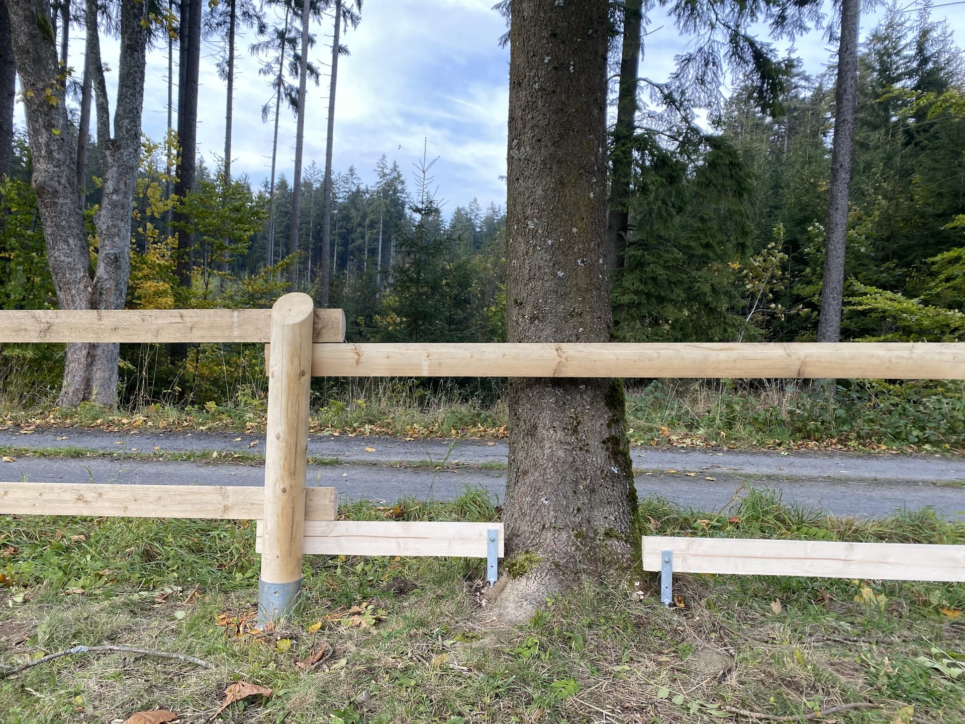 Dřevěný plot  - realizace OHF252-2020